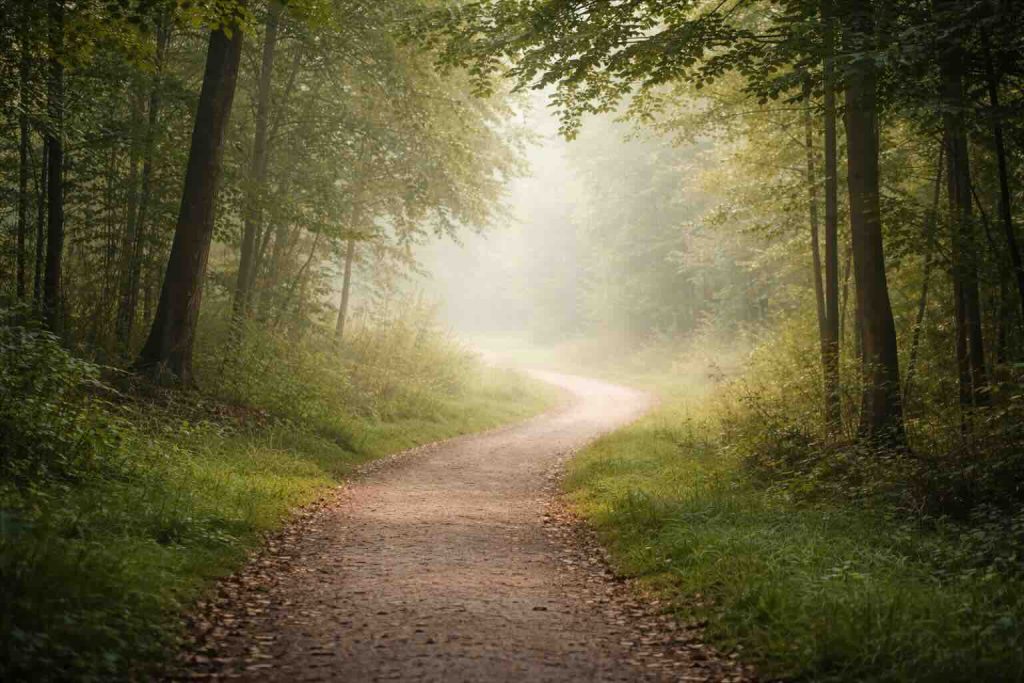 Rolig skovsti i blødt lys som metafor for hvad står ADHD for symptomer
